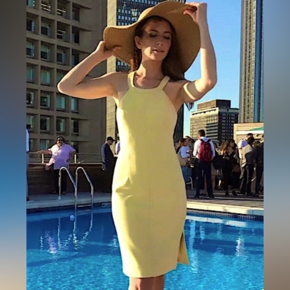 Elizabeth and James โImogenโ dress โ size 8 , Pale Yellow ! BEAUTIFUL ๐โฅ๏ธ๐ฉท - Picture 9 of 16